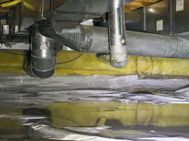 Best Basement water damage restoration  in Cottonwood, AL