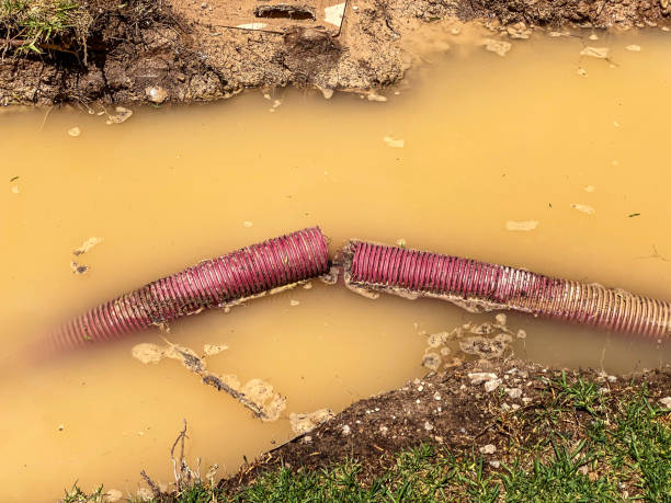  Cottonwood, AL Water damage restoration Pros