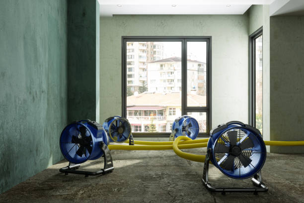 Best Fire Damage Restoration  in Cottonwood, AL